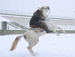 Atlı Sporlarda festival heyecanı